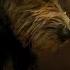 LADY AND THE TRAMP Trailer 2019 Disney