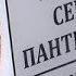 Сергей Мавроди любитель бабочек и пешка в чужой игре Россия 24 YouTube