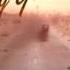 Fallout New Vegas Radio Mojave CG BM Let S Ride Into The Sunset Together LWWSB Patty K