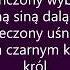 Nie Spoczniemy Czerwone Gitary Tekst