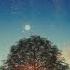 Love Confidence And COMPLETE Self Acceptance Subliminal Amplified Healing Resonance