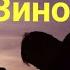 Хочи Мирзо Дар бораи Зино