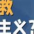 David Harvey 城市化在资本主义过剩危机中扮演了怎样的角色 另类视野 SSFS8 The Destiny Of Civilization 5