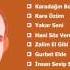 Ali Nursani Meyrik