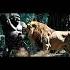 Gorilla Vs Lion The Ultimate Jungle Showdown Animation Elephant Lion Animals Wildlife Usa