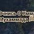 Очнись О Умма Мухаммада ﷺ