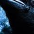 Far From Home The Raven Buy Sam Tinnesz