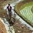 This Sustainable Farm Is Pure Genius