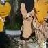 Ukhti Joget Spongebob
