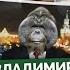 Наки Круг зла Путина Россия готовится к санкциям за вторжение Кадырова в отставку Бату наш