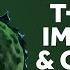 The Immune System T Cells And Covid 19