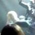 Moonspell Of Dream And Drama Midnight Ride Incomplete