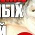 НЕОБЫЧНОЕ РАЗМНОЖЕНИЕ ЖИВОТНЫХ В ДИКОЙ ПРИРОДЕ