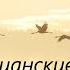В моем сердце покой Христианские песни МСЦ ЕХБ