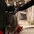 The Hardships Of The Young Soldier And The Female Doctor Were Helped By The Kind Man