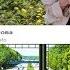 Ирина Баженова Радужный Я стану солнцем для тебя