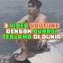 Ini Adalah 3 Video Youtube Dengan Durasi Terlama Di Dunia