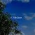 Mausam Hai Bada Qatil Song Status Nature Viralstatus Youtubeshorts Shortsvideo