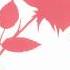 Why Or Why Not Higurashi No Naku Koro Ni 1st ED With Download 320kbps