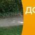 Как правильно ставить цели и достигать их