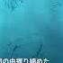 YOASOBI 상냥한 혜성 Official Music Video YOASOBI Comet 일본어 한국어 발음 해석 4K Video YOASOBI 優しい彗星