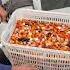 This Goldfish Farm Is Full Of Hope Shortsfeed