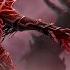 Diablo 3 Некромант Кольцо смерти в сете Аватар Траг Ула 34 го сезона и патча 2 7 8