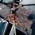 Ken Block Alice Deejay Better Off Alone Ringtones 45 Sec Part 6