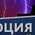 Эволюция Мир растений По новым знаниям