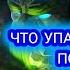 RIVENGARD ПРИЗЫВ ГЕРОЕВ НА 20 ЖЕТОНОВ ПОВЕЗЛО ЛИ В ЭТОТ РАЗ ЗЕВСУ ЧТО УПАЛО День 39
