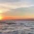 Sunrise Dolphin Watching At Lovina Beach Bali