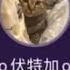 我是一顆秋天的樹