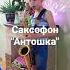 саксофон Антошка