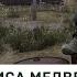 Миссии продолжение в поисках лисицы Lvl 20 21 Will To Live Online