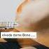 Elveda Deme Bana Cover2022