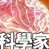壓力會通過皮膚泄漏 不用鍛鍊 只靠想象居然也能長肌肉 頂級神經科學家 Dr Tara Swart 揭露大腦的祕密 Seeker大师兄
