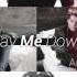Avicii Ft Nile Rodgers Adam Lambert Lay Me Down 1st Snippet