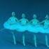 Танец 4 х лебедей Варламова Мишина Постнова Мокшева Ballet Swanlake лебединоеозеро