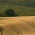 N 072 Relaxdaily Inspirational Instrumental Music Study Work Relax Enjoy Tuscany