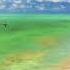 Mike The Mechanics A Beggar On A Beach Of Gold Official Audio