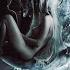The Wolven Storm Priscilla S Song