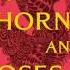 A Court Of Thorns And Roses Summary