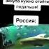 сегодня в белом танце кружимся ааа Shorts