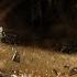 Озвучка для World Of Tanks
