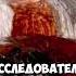 Ужасающая находка в Антарктиде интересно факты альтернативная история мистика история наука