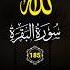 The BEAUTY Of Ramadan Will Leave You SPEECHLESS Surah Al Baqarah 185 Recitation سورة البقرة