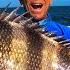 How To Catch Lots Of Big Sheepshead Pro Tips And Tricks