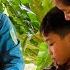 Will The Police Help Lien Get Out Of Trouble With NAM S Family Can Lien Take Care Of Phong