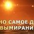 НАЙДЕНО САМОЕ ДРЕВНЕЕ МАССОВОЕ ВЫМИРАНИЕ НА ЗЕМЛЕ