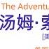 有声书 汤姆 索亚历险记 解读 马克 吐温创作于十九世纪七十年代的一部少年成长题材的小说 信奉 宁可当强盗 也不当美利坚总统 的小伙伴们以自己的方式探索生活的价值与意义